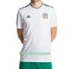 Billiga Fotbollströjor Wales Borta tröja 2018